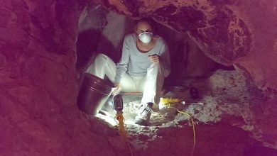 Photo of Лучший способ согреться