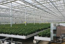 Photo of Эффективное и экологичное отопление