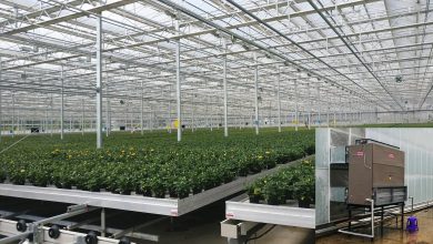 Photo of Эффективное и экологичное отопление